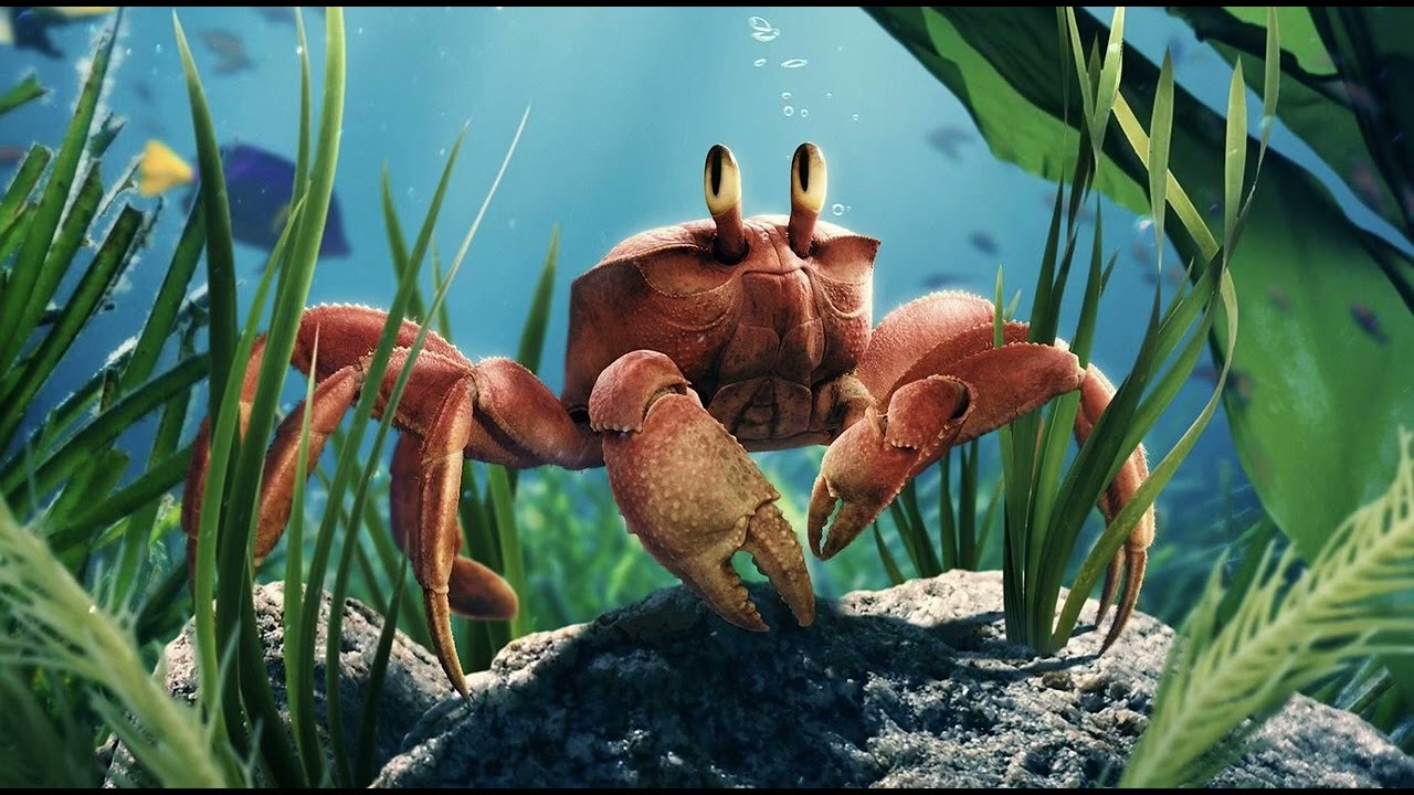 Nightcore under the sea