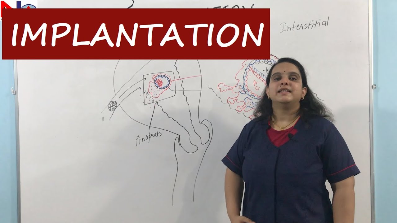 Implantation | Placenta development | Nursing lecture