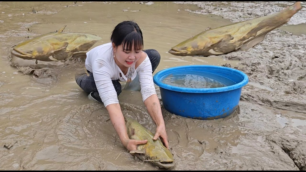 Catch big fish at the farm to sell and conquer underground honeybee hives.