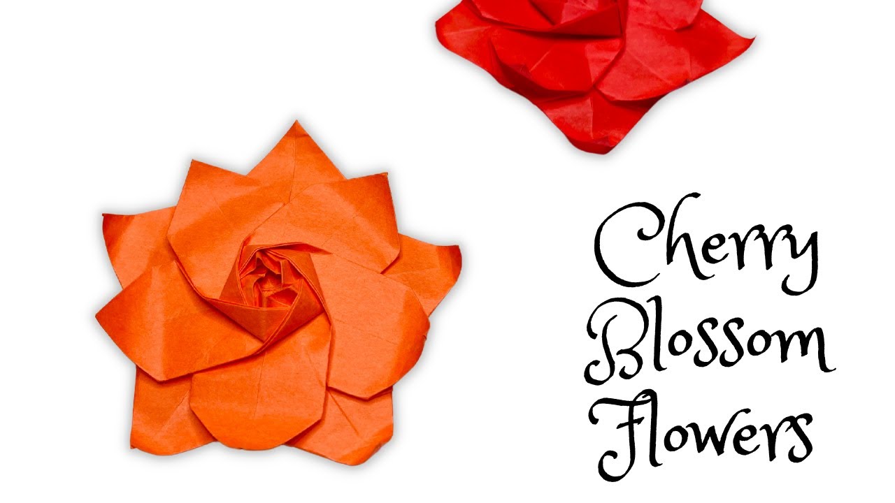 Cherry Blossom Flower | Paper Flowers