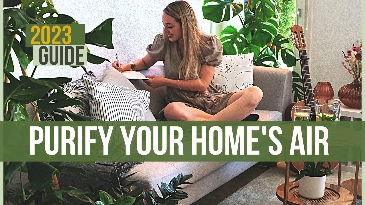 Unbelievable Transformation: How Bedrooms Transform with These Top 2023 Air Purifier Plants!