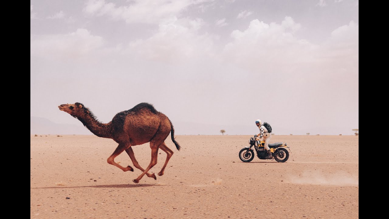 SCRAM AFRICA 2025 | 12th EDITION
