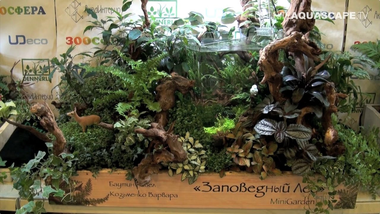 MiniGarden Aqua design contest 2015 - 1st place "Forest reserve"