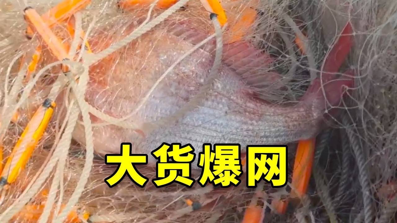 出海捕鱼遇到大货闹网，而且卖出去的价格还可以，这是准备大丰收