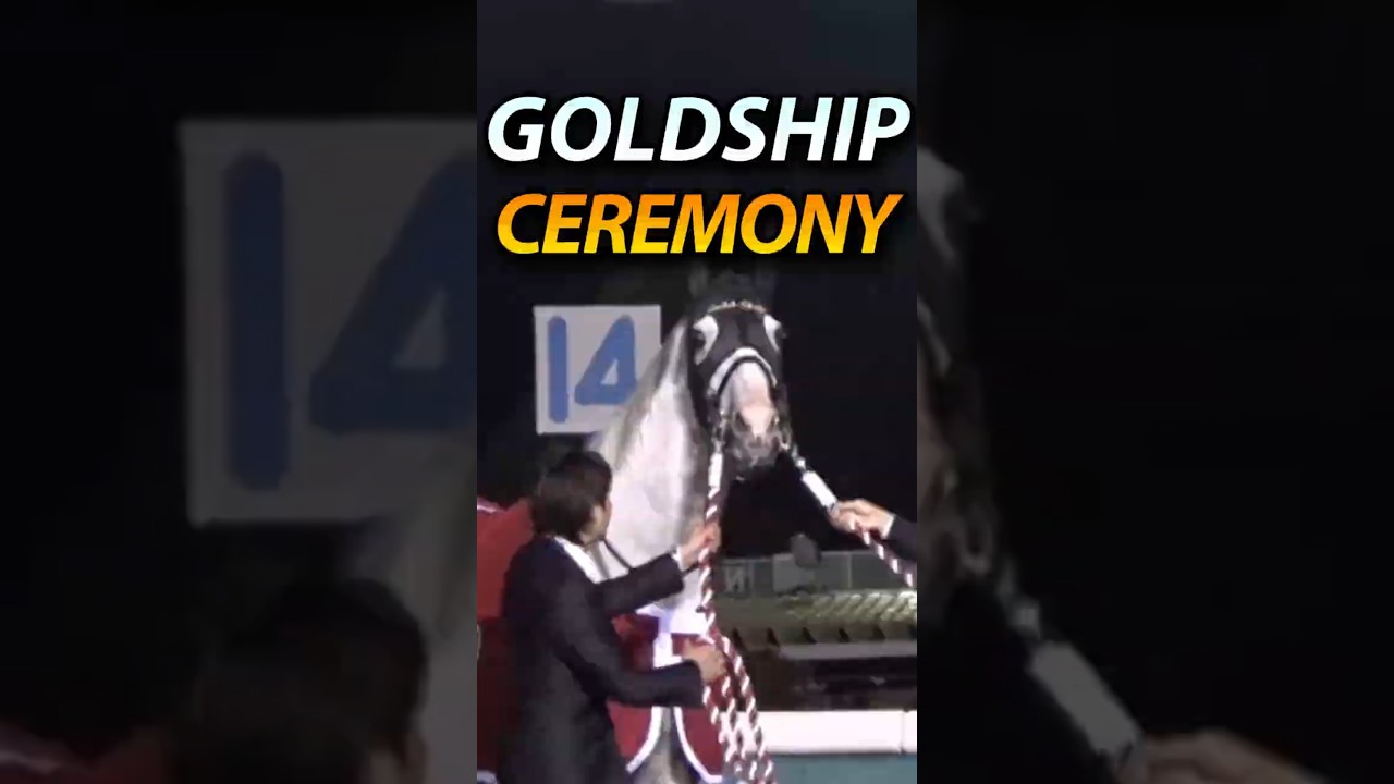 Gold Ship&rsquo;s Retirement Was Pure Chaos 🏇