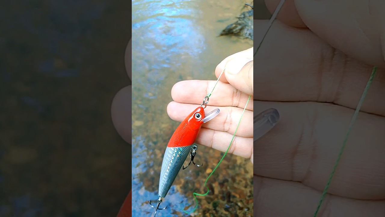 seperti ini cara mudah mengikat umpan minnow #minnow #lure #umpan #umpanjitu #casting #spinning