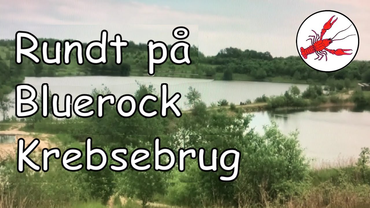 Vi ser på krebs og fisk efter generalforsamling maj 2024 i Danmarks Krebseavlerforening