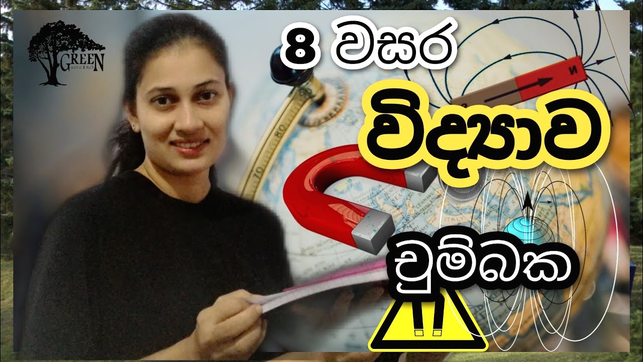 Grade 8 Science චුම්බක | Magnets | 8 වසර විද්‍යාව | Green Science and Math | Sinhala