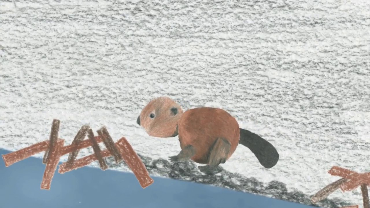 Wildlife Rescue Animation