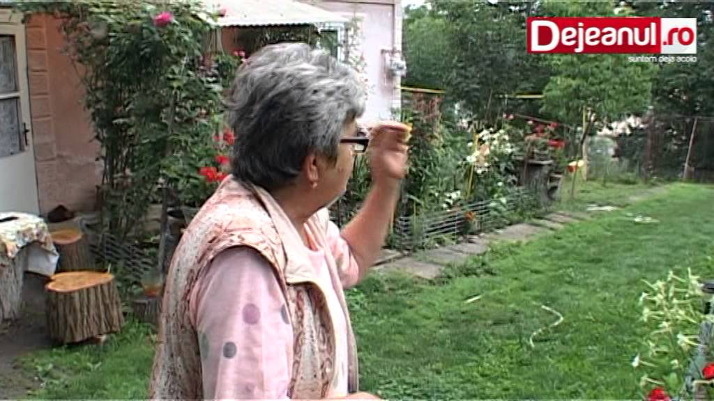 invazie de melci dejeanul