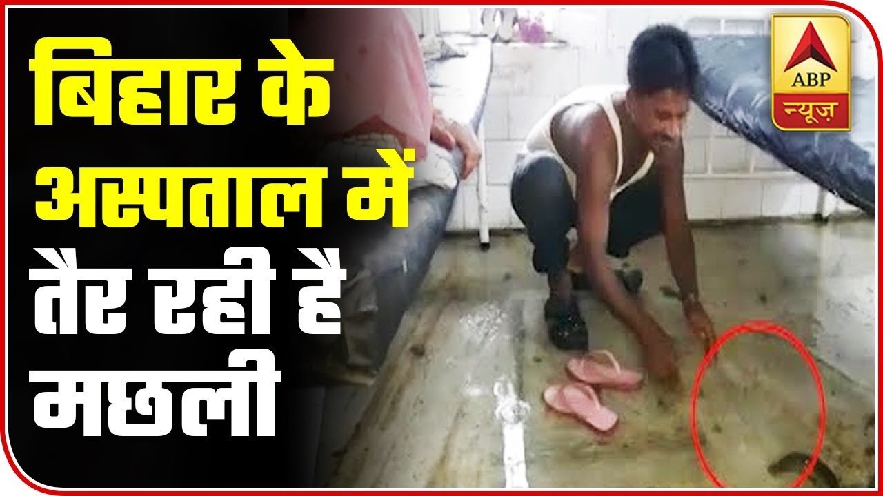 Fish Caught Swimming In Wards Of NMCH, Patna | ABP News