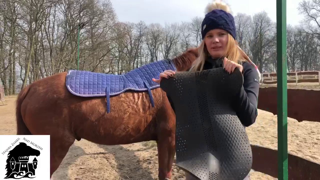 Stajnia Mustang