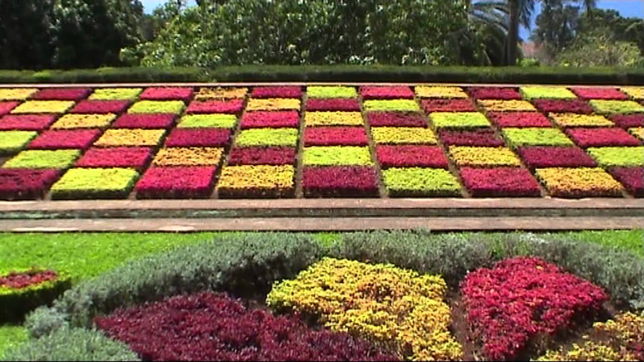 MADEIRA  Monte Palace Tropical Garden & Jardim Botanico (sd-video)