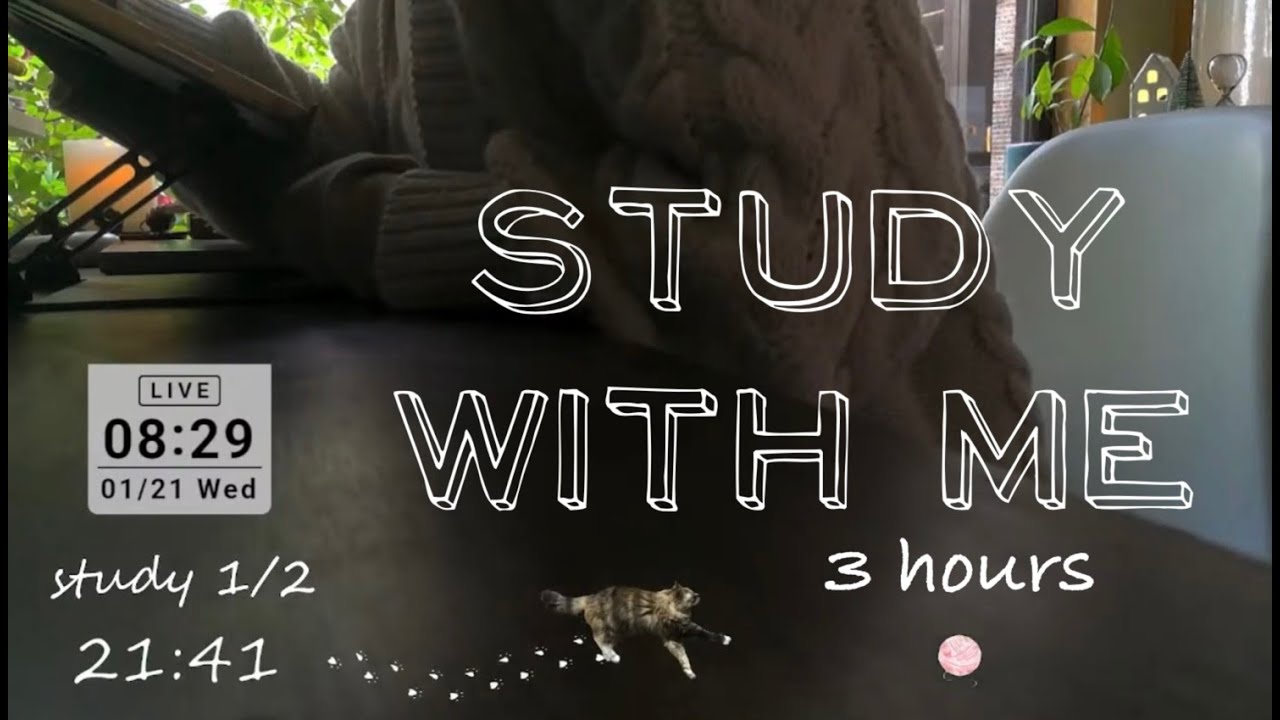 Study with me | pomodoro 50/10 | 7:00 - 10:00 -  fire crackling 一緒に勉強しましょう【作業用 焚火の音🔥】