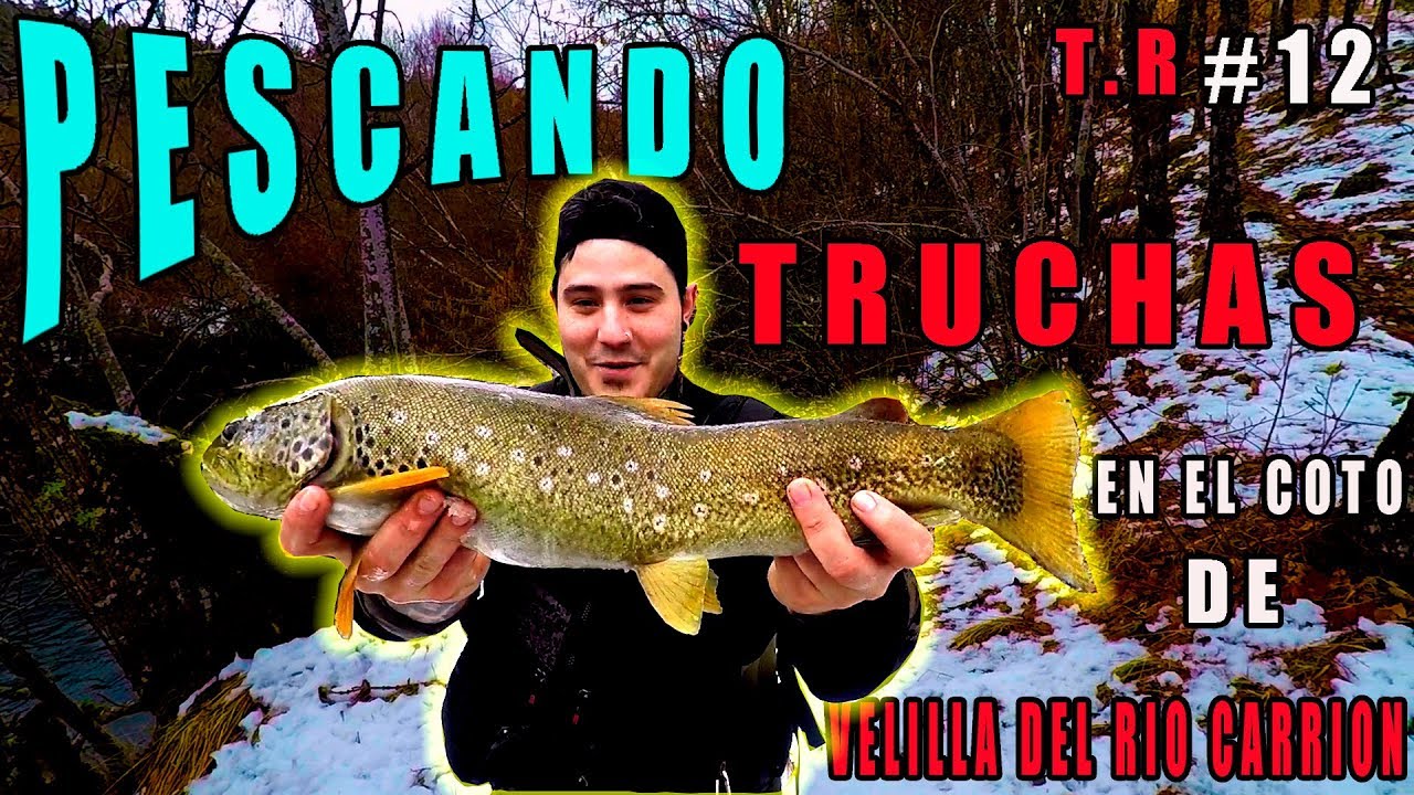 PESCANDO EN EL COTO DE VELILLA DEL RIO CARRION 2018 HD(SEGUNDO  DIA DE LA TEMPORADA)