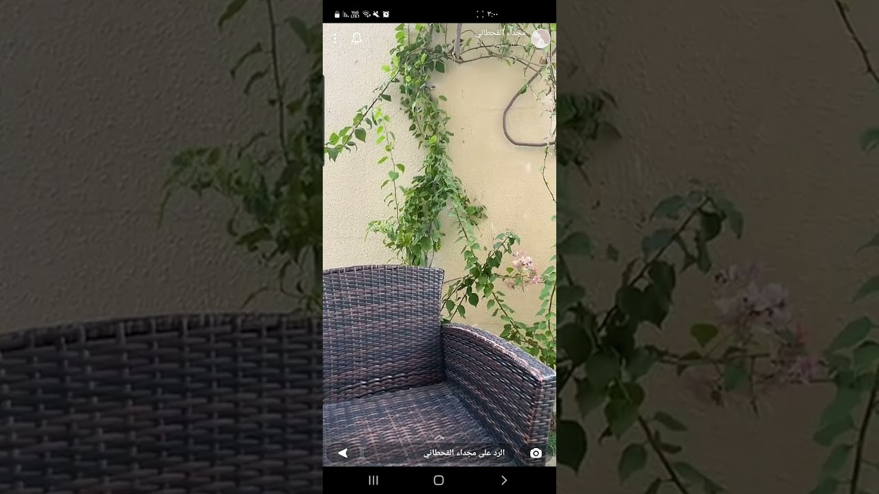 مجداء تحكي قصة عجيبة.