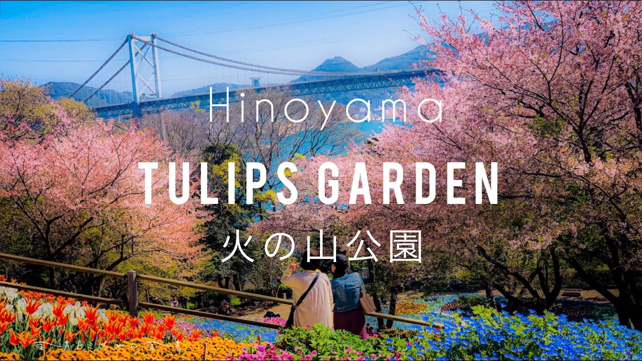 TULIPS GARDEN  | HINOYAMA PARK , JAPAN  | チューリップ [火の山公園] JAPAN ON MY EYES 🌷