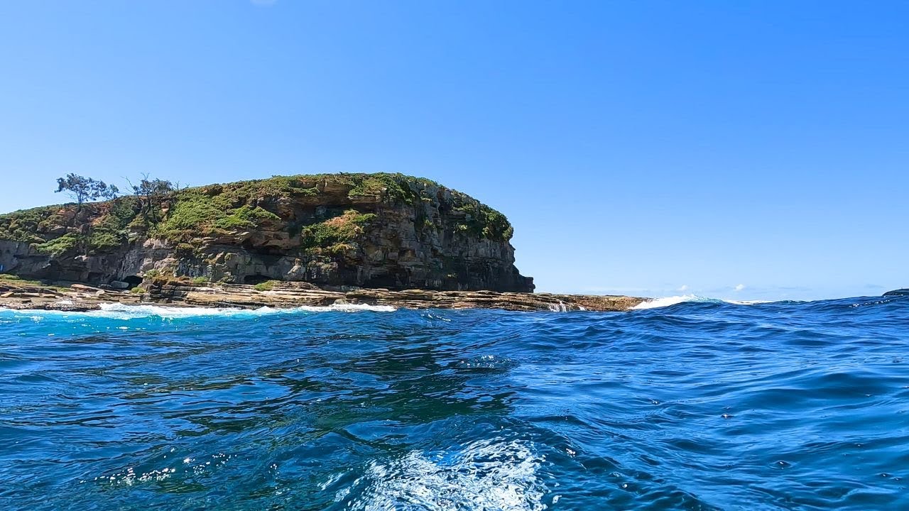 Offshore Adventure: Snorkelling at Mudjimba Island!