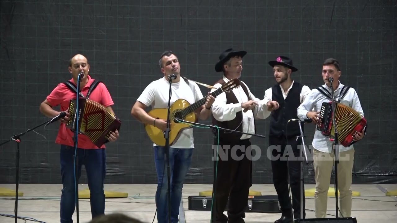 Pedro Mendes Gonçalo Moreira Tonito (variação 2)