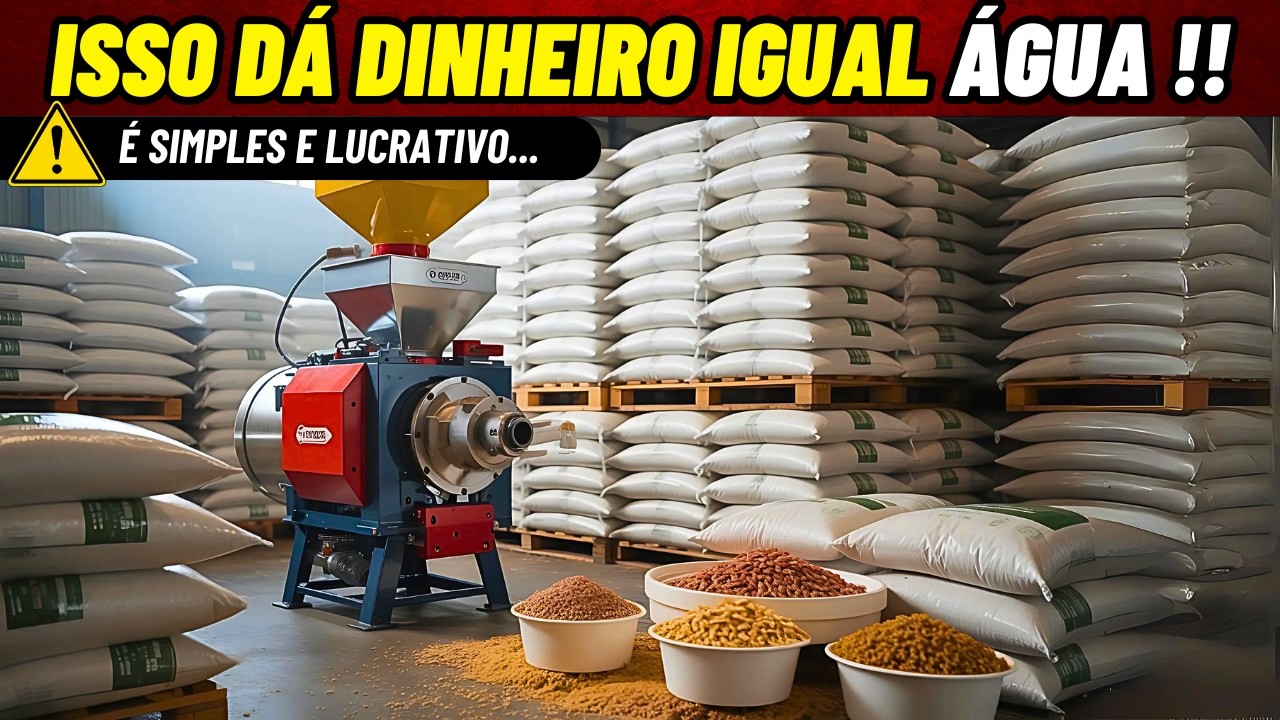 13 Neg&oacute;cios que POUCA GENTE PENSA, mas que D&atilde;o Dinheiro