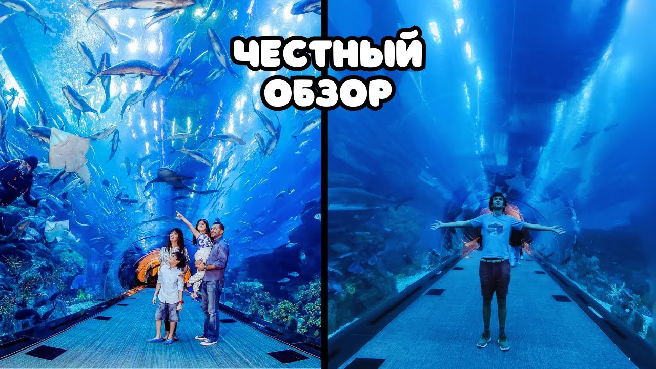 Погружение в Чудо Дубая: САМЫЙ БОЛЬШОЙ аквариум Мира