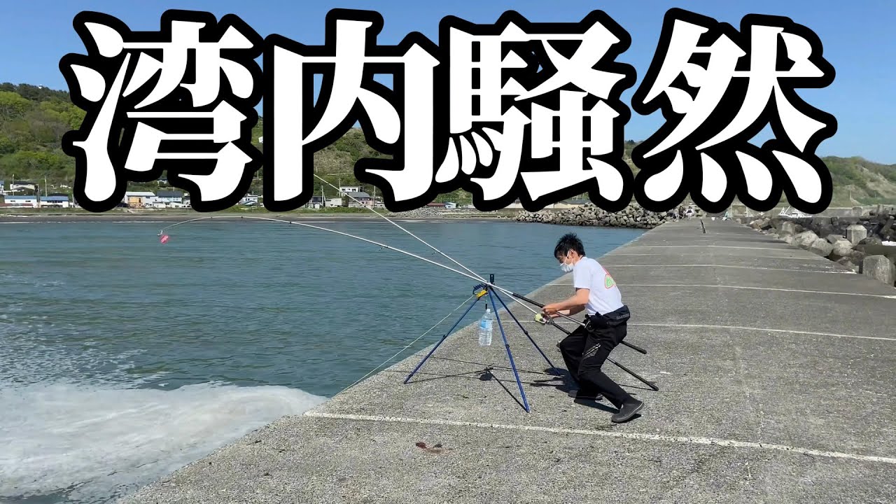 【北海道】【釣り】【マツカワ】足元で重量級が釣れまくる‼️