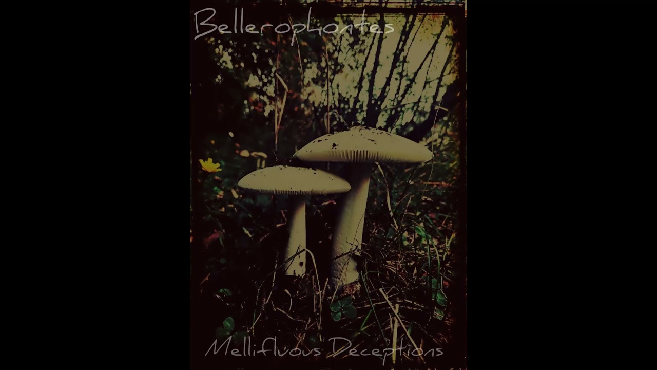 Bellerophontes - Loop 312