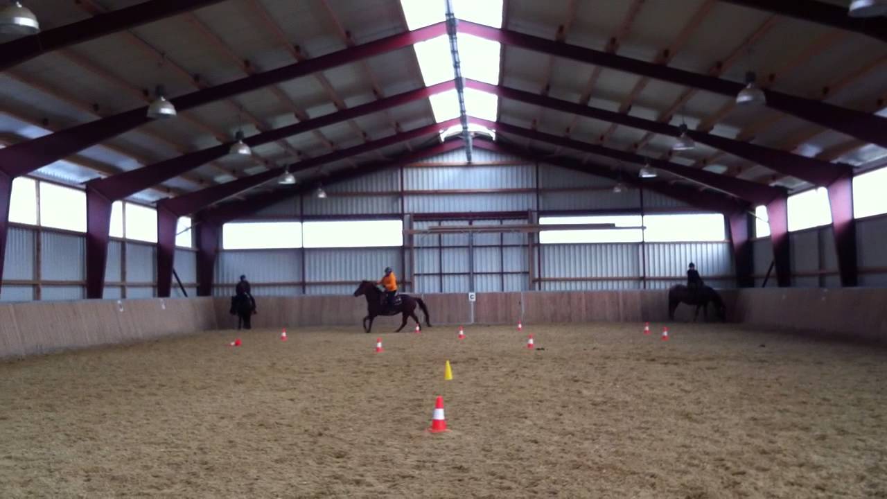 Reitseminar mit Bernd Hackl