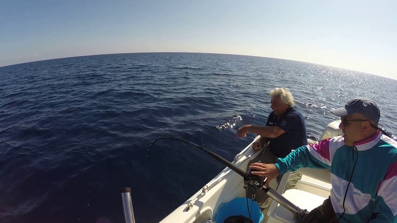 Totani con Daiwa Tanacom 1000