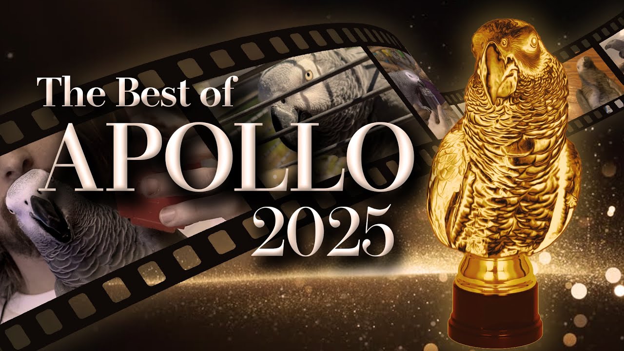 Best of Apollo 2025