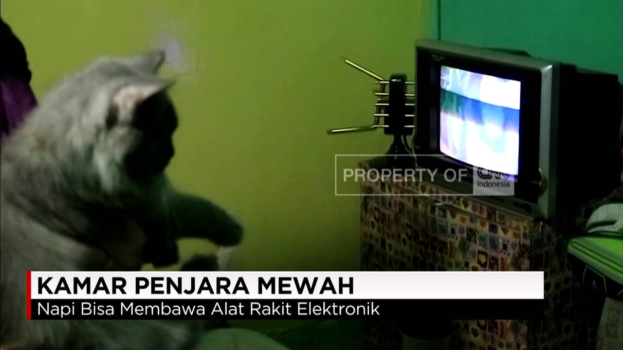 Sel Mewah Sekelas Hotel di Lapas Porong