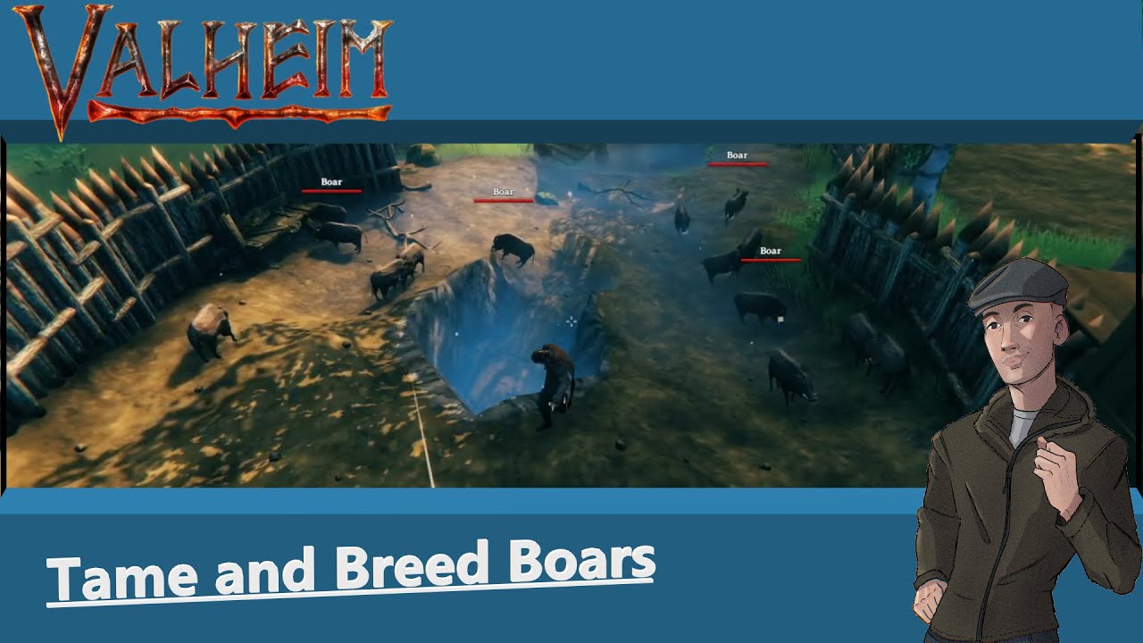 How to Tame and Breed Boars in Valheim