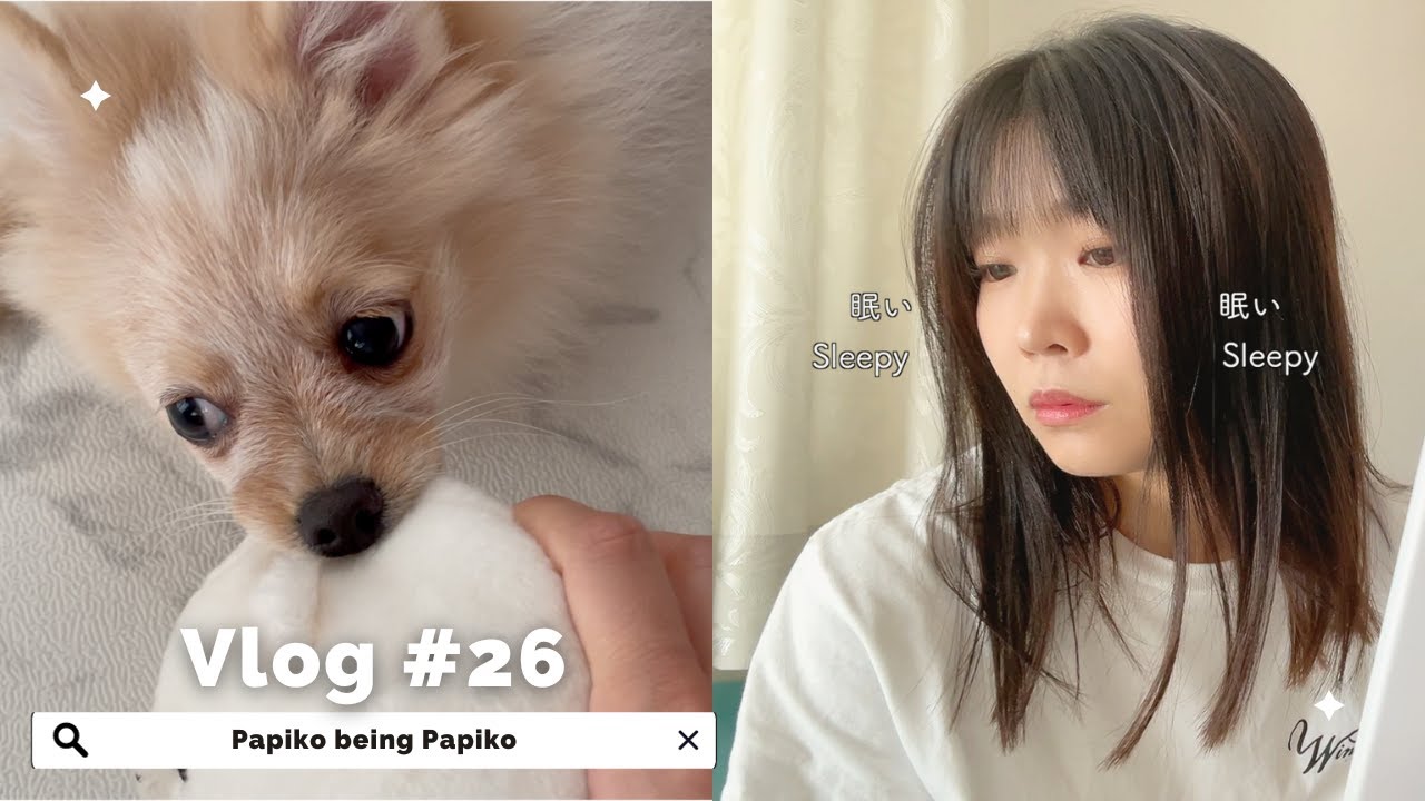 🚗Vlog #26 : My days with Papiko | Papiko being Papiko