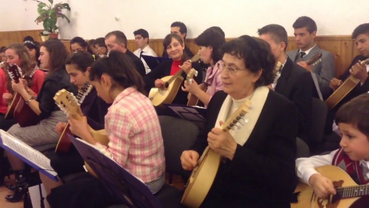 orchestra de mandoline   superb