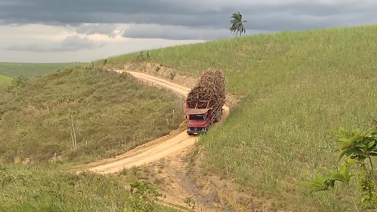 NOS CANAVIAS DE ALAGOAS, CAMINHÃO MERCEDES-BENZ 1518 SUBINDO LADEIRA ALTA ...