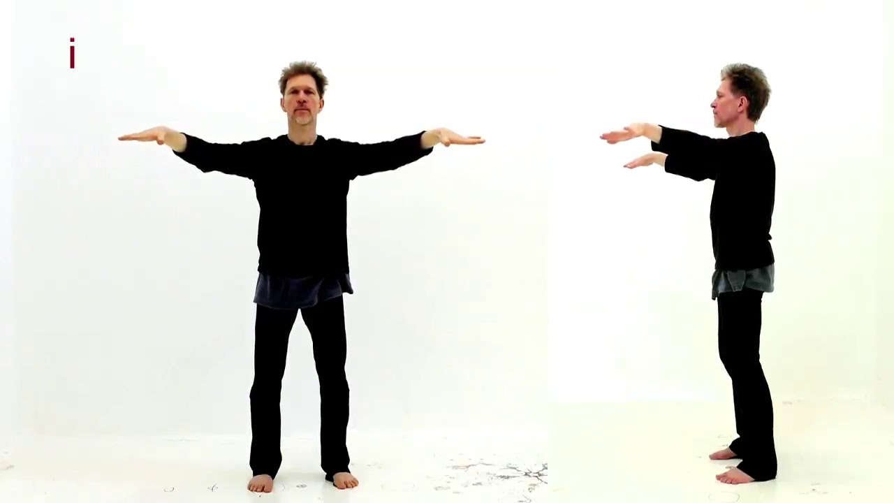 Qi Gong des 6+1 Sons Thérapeutiques - Liu Zi Jue