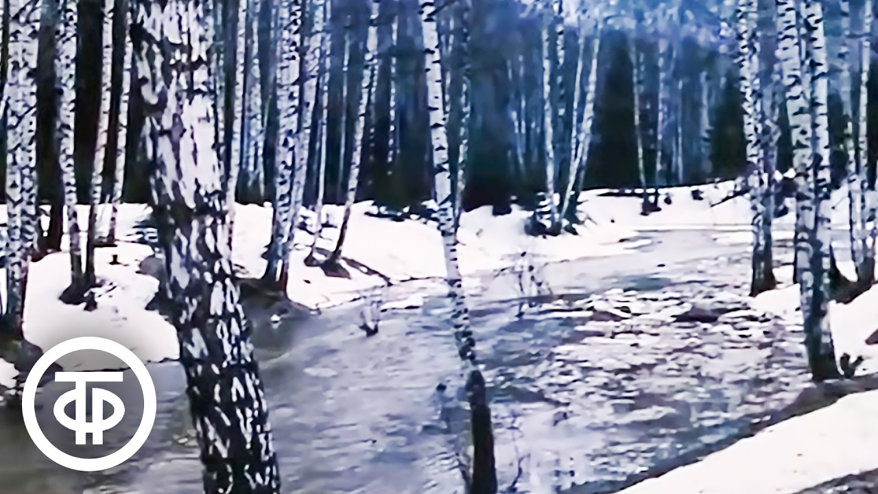 Март. Видовой фильм из цикла 