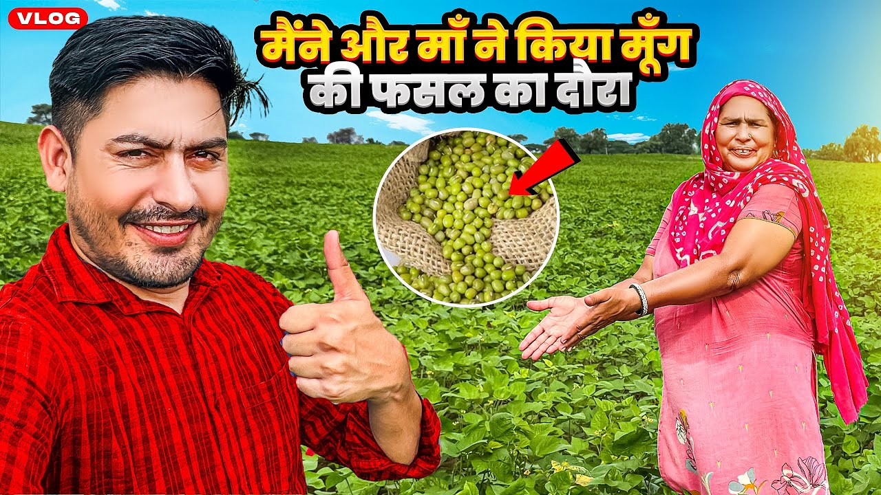 माँ और मैंने किया मूंग की पूरी फसल का दौरा