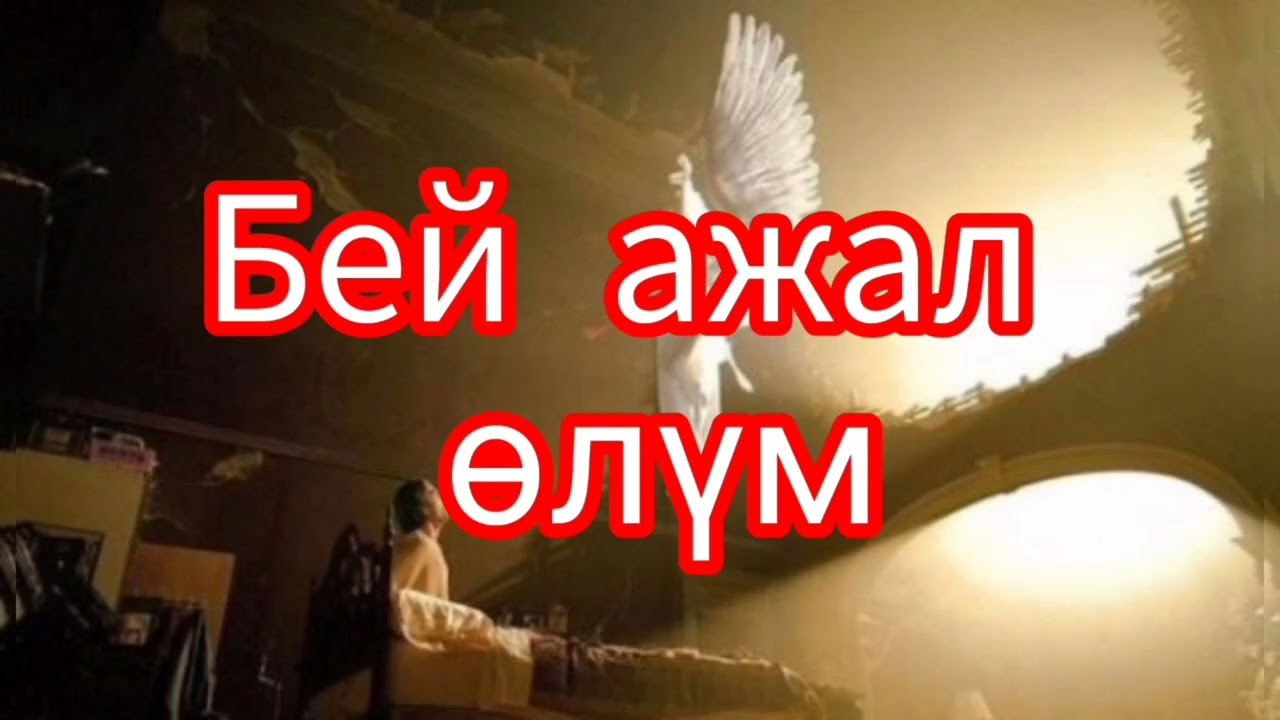 Бей ажал өлум