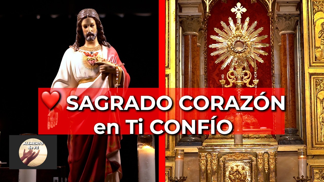 ❤️ Misericordia y Sanación en el Sagrado Corazón de Jesús - en el Santísimo | Alimento de Fe