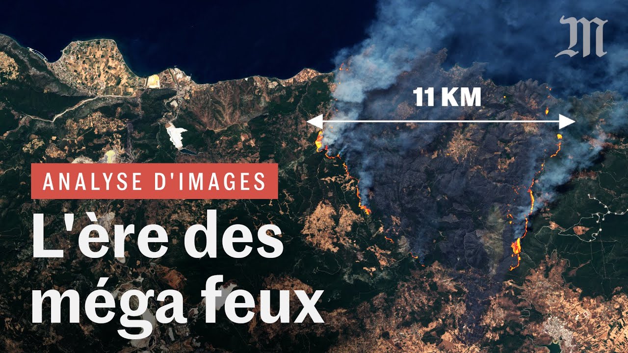 Incendies et méga feux : plus violents et nombreux qu'avant ?