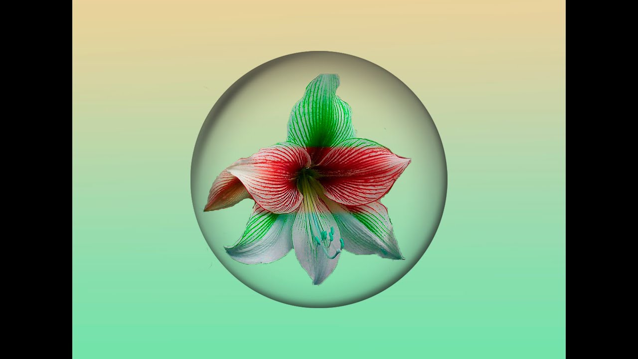 Flor de Art Deco