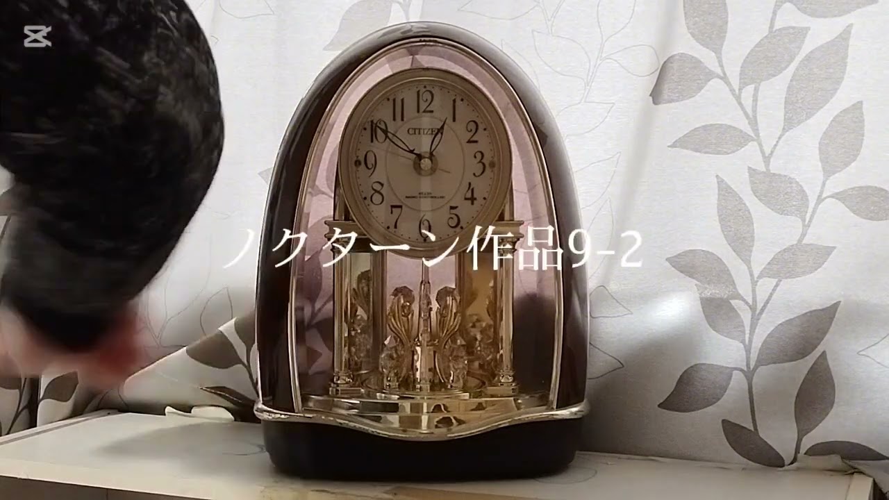 CITIZENパルドリームR414全曲動画