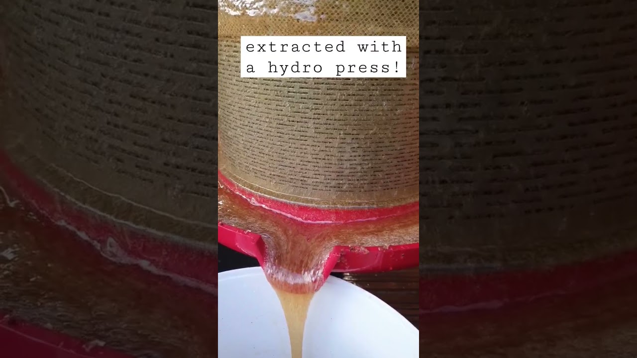 How To Hydro Press Heather Honey 🍯