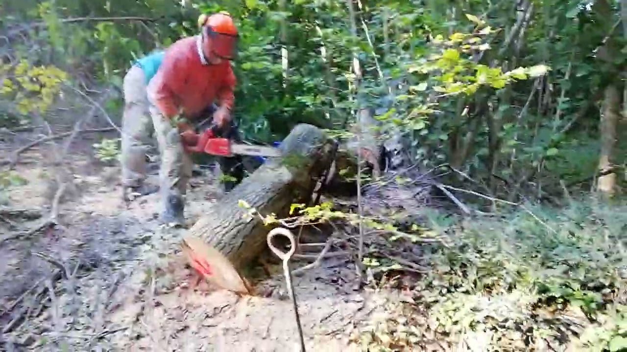 Holz sägen Sprenge