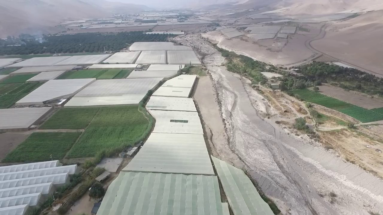 Arava Agricultura Protegida