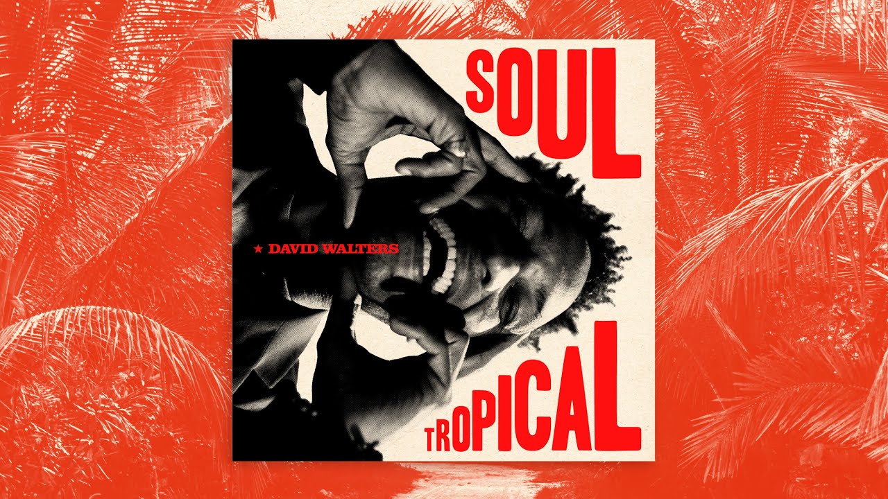 DAVID WALTERS 🌴🎶 SOUL TROPICAL 🌴🎶 (FULL ALBUM)