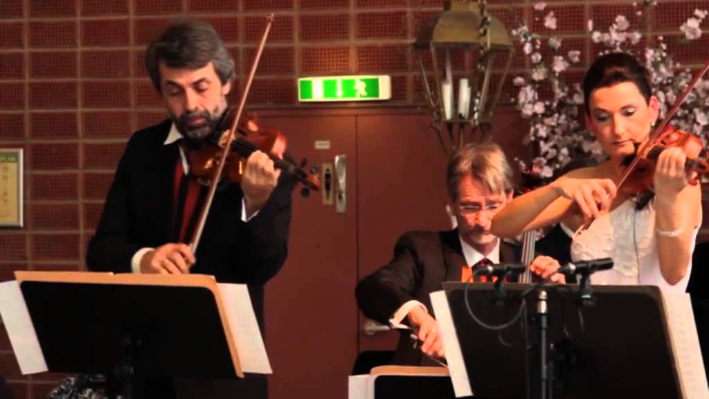 Salonissimo - Emmerich Kalman - Komm Zigany