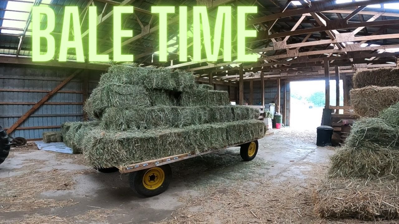 Attempting to Bale Hay with New Holland 269