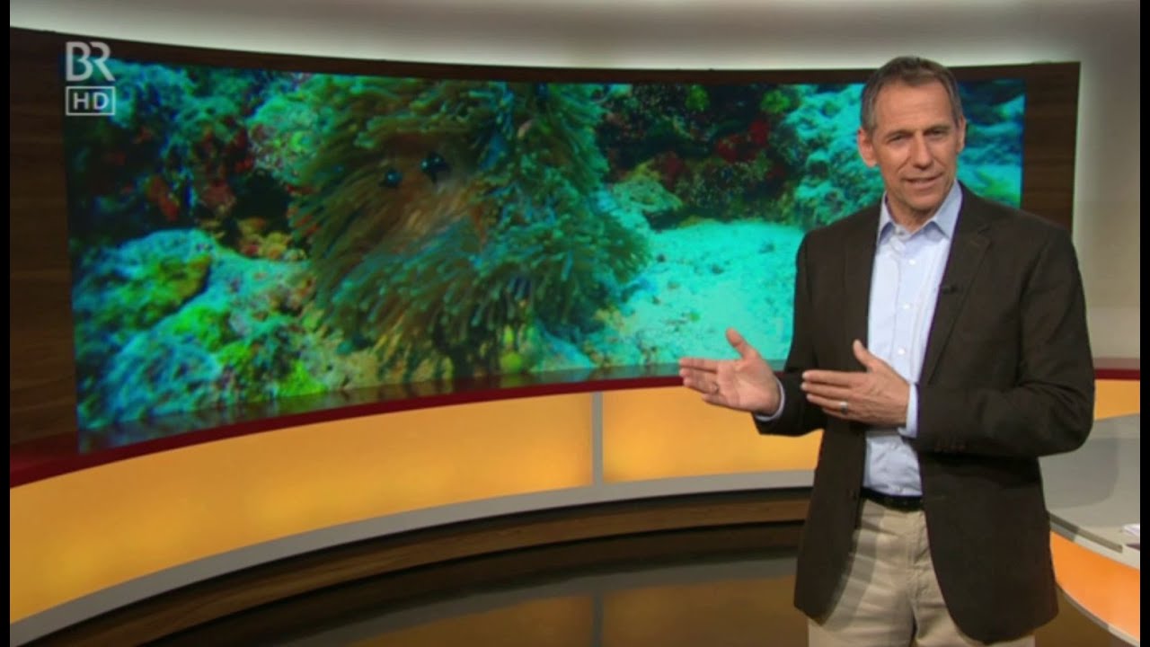 BR - Bayerisches Fernsehen zu Gast bei RiffSystem